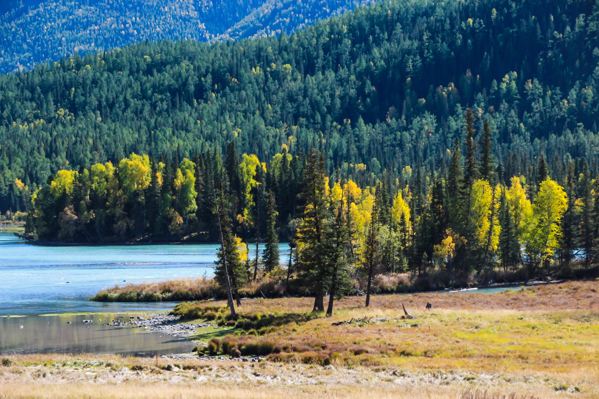 新疆，向尊敬的听众朋友们致意